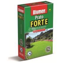 Prato forte soleggiato – 1 kg – Copertura fino a 50 m² – Germinazione rapida – Blumen