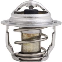 Termostato Kubota 1e40173012