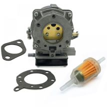 Kit Carburateur 693480 Pour Moteur Briggs & Stratton 16,5 Cv Bicylindre 42a707 À Quatre Vis, Outil De Jardin, Métal, Argent