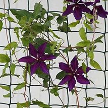 Marco Paul - Climbing Plant & Fencing Garden Mesh Outdoor Indoor Fencing Plant Support Plastic Mesh Netting For Flowers Plants Protection Allotment 
