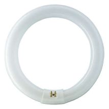 Ehl - Philips Tl-e 32w/865 1ct/12 Kühles Tageslicht, Ringlampe Mit Ø 303,5 Mm, Dimmbar