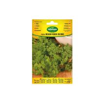 Sachet De Graines De Persil Frisé Vert Foncé - 100 Unités