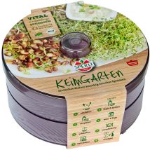 Sperli Sprossenbox Anzuchtset