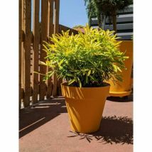 Riviera Soleilla Blumenkasten Gelb 60 Cm Durchmesser