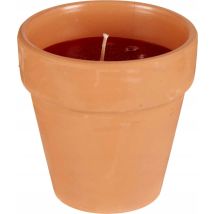Dekorative Kerze Ibergarden Geranium Scented Candle Natürliche Wachs 8 Cm