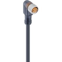 Lumberg Automation 14007-1 Sensor-/aktor-steckverbinder, Konfektioniert M8 Buchse, Gewinkelt 2.00 M