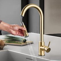 Zamery - Kitchen Mixer Tap With Pull Out 360° Swivel Spout 2 Water Modes High Arc Single Lever Brass Bathroom Mixer Tap, Brushed Gold