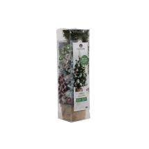 Árbol de Navidad natural – Diseño elegante y moderno – Fabricado con materiales de alta calidad – Durabilidad y resistencia
