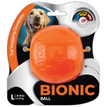Pelota para perros Bionic – Juguete resistente de goma – Mediana – Ideal para lanzar y buscar – Flota y rebota bien