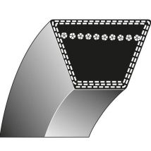Cinghia Trapezoidale Scarificatore Gutbrod Vs50 000.75.699