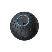 Therabody Theragun Wave Solo Vibrationsball