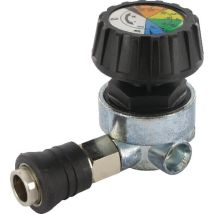 Valvola Regolatore Pressione 1/4 Fini 319051000
