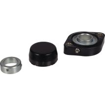 Ina - Unidad De Alojamiento De Rodamientos Con Brida Glcte25 -tv-fa125.5 25mm Ov.