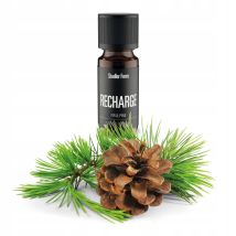 Nachfüllung Duftöl 10 ml – 100 % rein – ätherisches Öl – waldiger Duft – Stadler Form