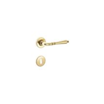 Maniglia Dieci Patent Con Rosette Ottone Lucido