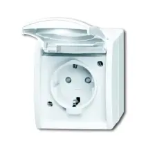 Busch-jaeger 20 Ebw-54 Schuko Steckdose Mit Erh. Berührungsschutz