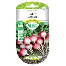 Bio-Radieschen Samen – Saatgut für die Aussaat – Aus biologischem Anbau – Ernte: April bis Oktober