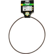Cinghia X-grip 3l370 Arnold