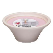 Villa Verde - Duftkerze In Keramikschale Magnolie, Höhe 8 Cm, Ø 18 Cm Duftkerzen