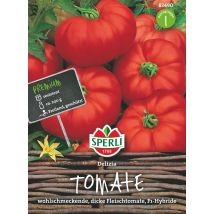 Tomaten Delizia - Gemüsesamen - Sperli