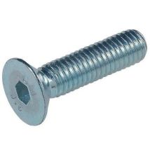 Zinkbeschichtete Metallschrauben 8x20 Mm - Box Mit 200 Stück