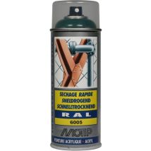 Verde Vernice Spray Motip 07128