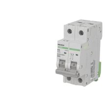 Disjoncteur Bipolaire Modulaire 40a Courbe D Noark Ex9bn
