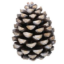 Piña Resina Marrón Cm27,5x27,5h35,5