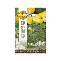 Semillas de calabaza Marina di Chioggia – 3 g – Frutos grandes y cóncavos – Pulpa amarillo anaranjado – Cáscara verde/gris