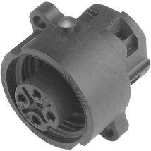Amphenol Rundstecker Buchse C016 20G003 100 12 Einbau Gesamtpolzahl 3 + PE Ø 12 mm Elektroinstallation