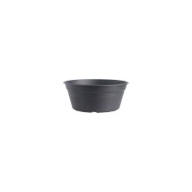 Grün Basics D.33cm Living Noir Schnitt - Elho