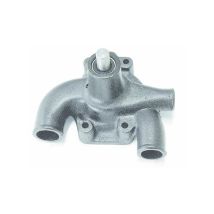 Pompe À Eau Landini 41312536 10161
