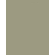 Johnstone's - Exterior Garden Colours Gentle Willow 2.5ltr - Gentle Willow