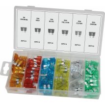 Kasten Mit 120 Sortierten Steckbaren Standard-sicherungen Sodelec - 14102