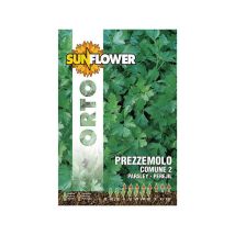 Semillas de Perejil Común – Variedad Media Temprana – 10 g – Aroma Intenso – Hojas Verdes Oscuras