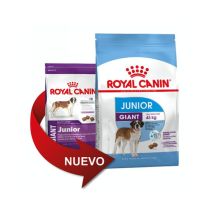 Royal Canin - Pienso Giant Junior Perros De Tamaño Gigante (de 8 A 24 Meses) - 15 Kg