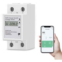 Paryou – Digital Single-phase Energy Meter 63a 220v – Wifi – Real-time Power Consumption Measurement – Compatible With Alexa And Google Home – Ac 63 A