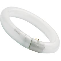 Luxline - Lampada Circolare Luxline Fc40 W/840 T9 G10q - Sylvania