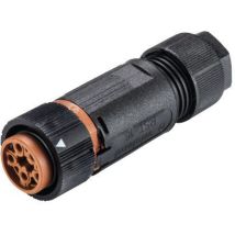 Wieland - Electric 46.051.4550.4 Rundstecker Kupplung, Gerade Gesamtpolzahl: 5 Serie (rundsteckverbind