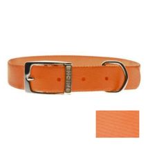 Ferribiella - Collar De Nylon Special 20mmx45cm Naranja