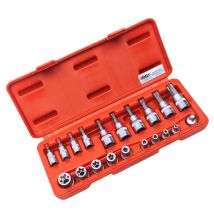 Famex Tools 10520 20 - Set Di Chiavi A Bussola E Chiavi Torx, 3/8-1/4 Pollici, 20 Pezzi