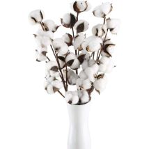 3 Branches Of Natural Cotton Flowers, 10 Heads With Artificial Stems, Dried Cotton Flowers, Artificial Plant, Natural Decoration For Indoor Use, Vase,
