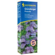 Kiepenkerl - Gründünger Phacelia Phacelia Tanacetifolia, Inhalt 400 G Gemüsesamen