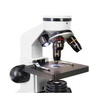 Microscopio Digitale Levenhuk Rainbow D2l 0.3m, Moonstone Di Moon