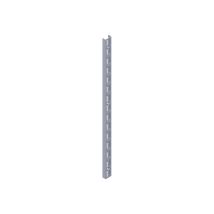 Element System - Wandsch.l.2000mm Weiß Sta Zweireihige Lochung Pa - 10001-00028
