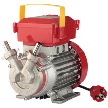 Elektropumpe 0,6 Hp – Flüssigkeitstransfer – Einfach zu installieren – Zuverlässiger Fluss – Gartenbewässerung