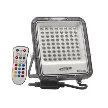 Faro Led Luce Bianca + Rgb W 25 Proiettore Per Esterno Giardino Telecomando Ip65