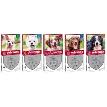 Bayer Antiparassitario Advantix (6 Pipette) Per Cani 40÷60 Kg.