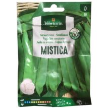 Mistical Berry Ebrei Semi - Oltre 25 Gr. - Vilmorin