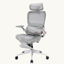 Sihoo B100 Pro Ergonomischer Mesh-bürostuhl Mit 4d Dynamischer Lendenwirbelstütze, 3d Extra Breiter Kopfstütze, 4d Hochklappbaren Armlehnen, Fußstütze